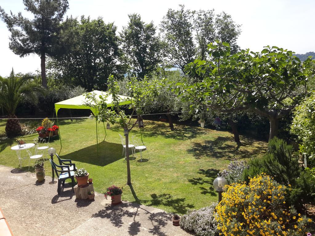 B&B L'Albero Di Antonia Atri Dış mekan fotoğraf