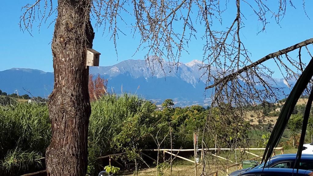 B&B L'Albero Di Antonia Atri Dış mekan fotoğraf