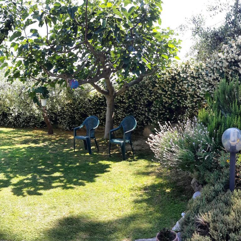 B&B L'Albero Di Antonia Atri Dış mekan fotoğraf